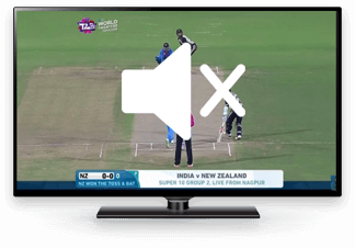 SONY TV Sound Problem
